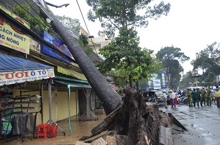 Cây xanh đè lên nhà dân tại đường An Dương Vương