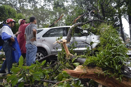 Chiếc ô tô bị đè bẹp phần đầu, nhưng tài xế may mắn thoát nạn