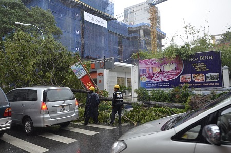 Một số tuyến đường khác cây xanh ngã la liệt