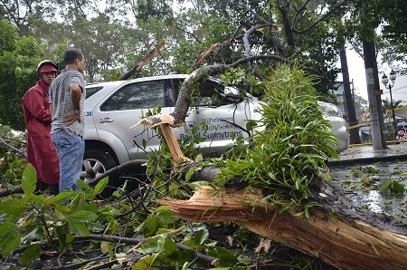 Cây ngã ra đường đè lên xe ô tô, nhà dân và hàng chục xe gắn máy
