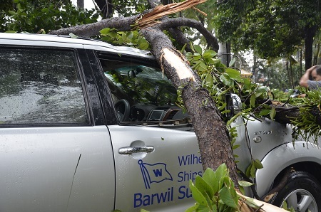 Một số tuyến đường khác cây xanh ngã la liệt