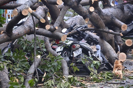 Và đè bẹp hàng chục xe gắn máy đang gửi ở đây