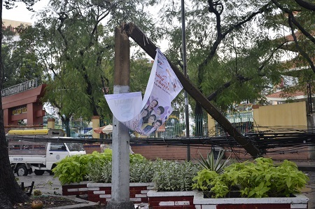 Cây ngã cũng kéo theo nhiều cột điện gãy đôi, xiêu vẹo