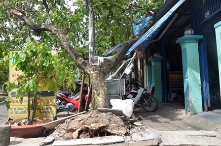 Hiện trường xe đầu kéo kéo sập cây xanh ngã vào nhà dân