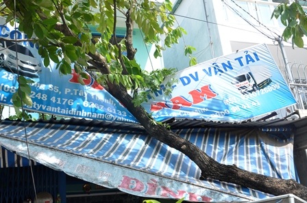 Phần thân cây đè lên nhà dân