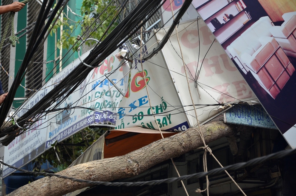 Nhánh cây cổ thụ ngã đè lên nhà dân