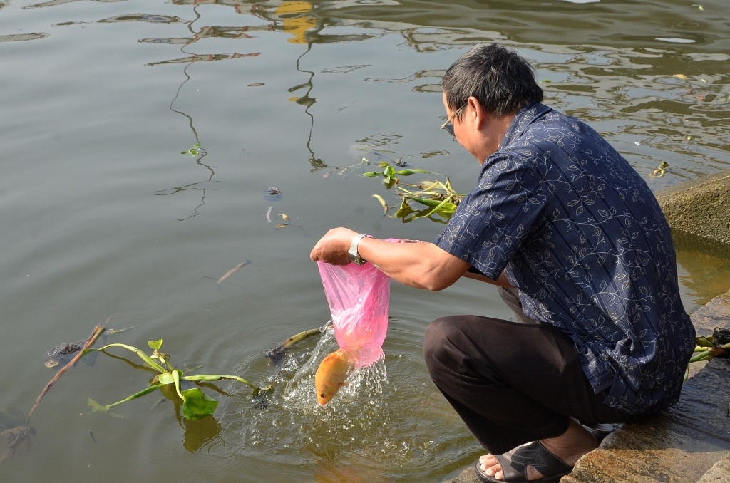 Người dân TPHCM thả cá chép tiễn đưa ông Táo về trời