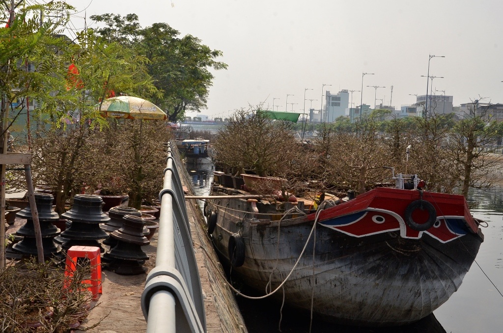 Những ghe chở đầy mai neo đậu dọc Bến Bình Đông sẵn sàn phục vụ Tết