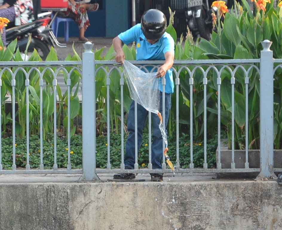 Người dân thả cá chép xuống kênh sau lễ cúng ông Công - ông Táo