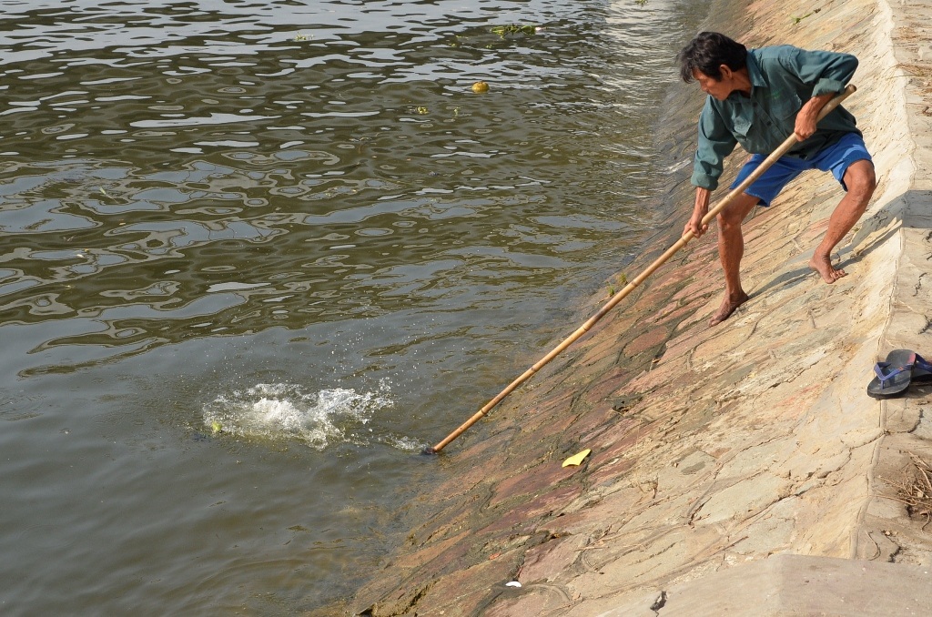 Tuy nhiên những chú cá chưa kịp chầu trời thì đã nằm gọn trong vợt của người đàn ông này.