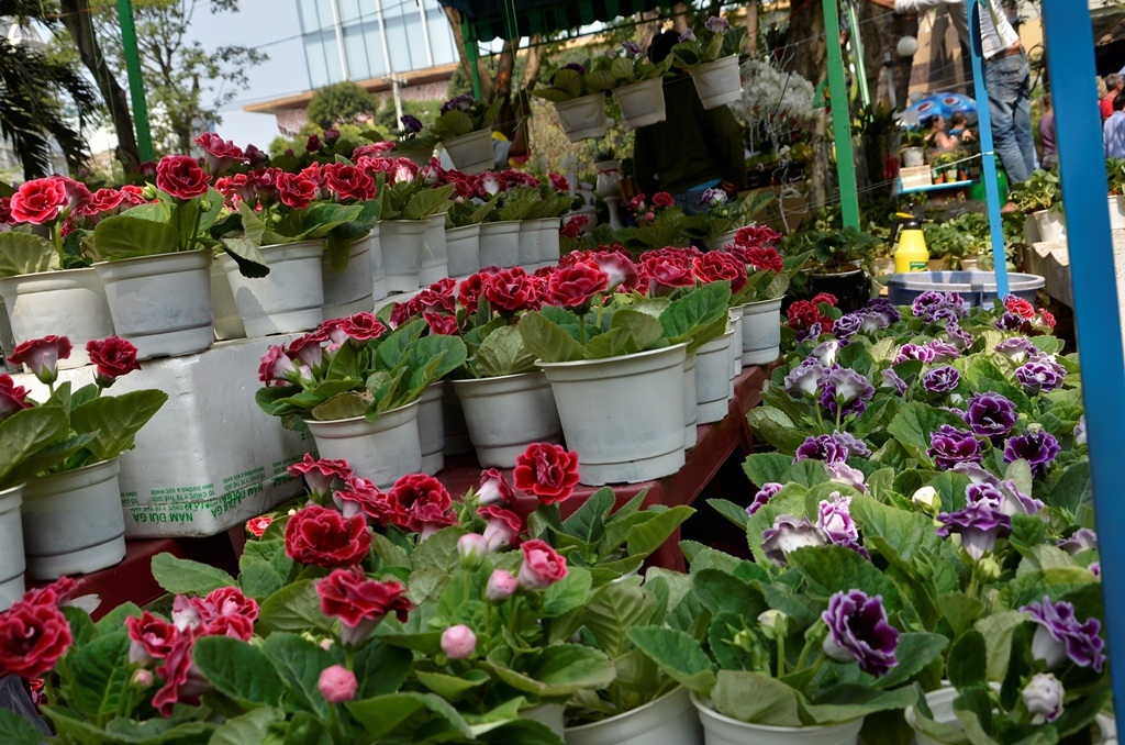 Chợ hoa quy tụ hàng trăm loại hoa khác nhau