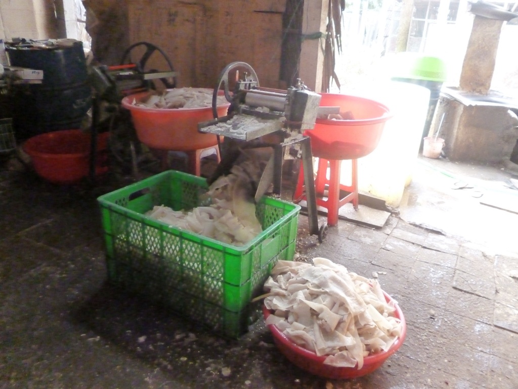 Da heo được sơ chế trên nền nhà