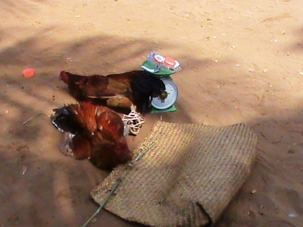 Tang vật mà công an thu giữ