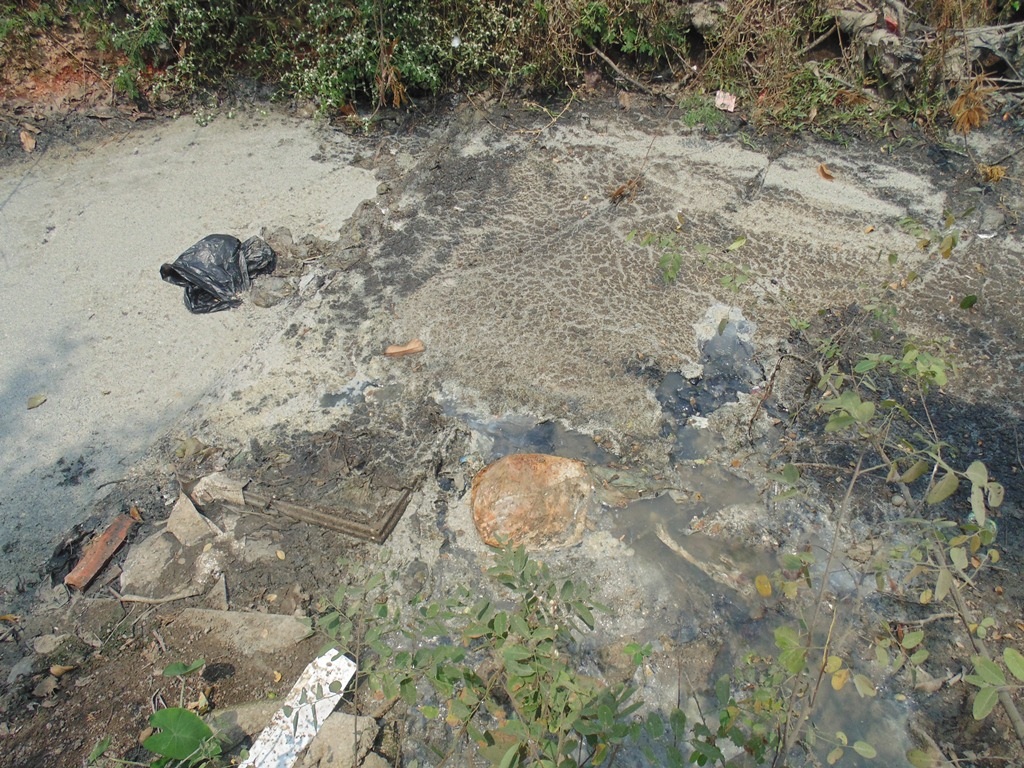 Màu
nước ô nhiễm đen ngòm cùng hoa lục bình trên rạch Cầu Sa làm cho muỗi bùng phát
dữ dội hơn.