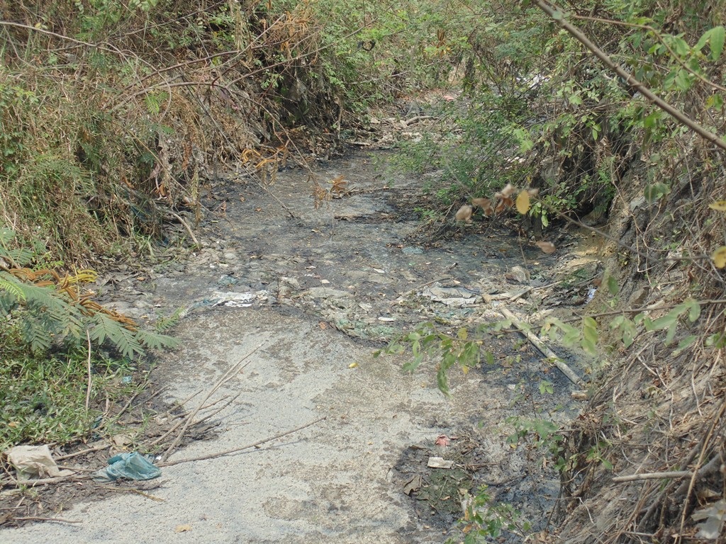 Nước thải ô nhiễm tạo môi
trường lý tưởng cho muỗi sinh sôi với tốc độ chóng mặt.