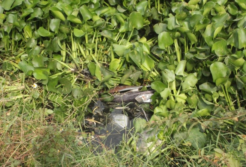 Vị trí anh V. bị rơi xuống kênh và được người dân phát hiện cứu sống kịp thời