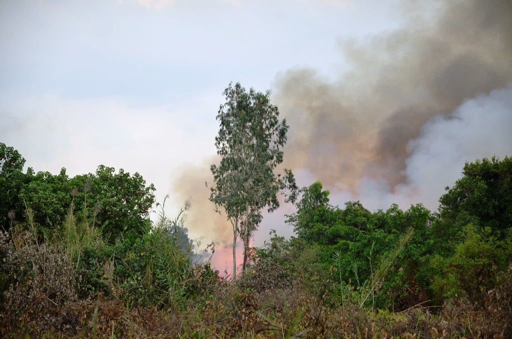 Hiện trường vụ cháy