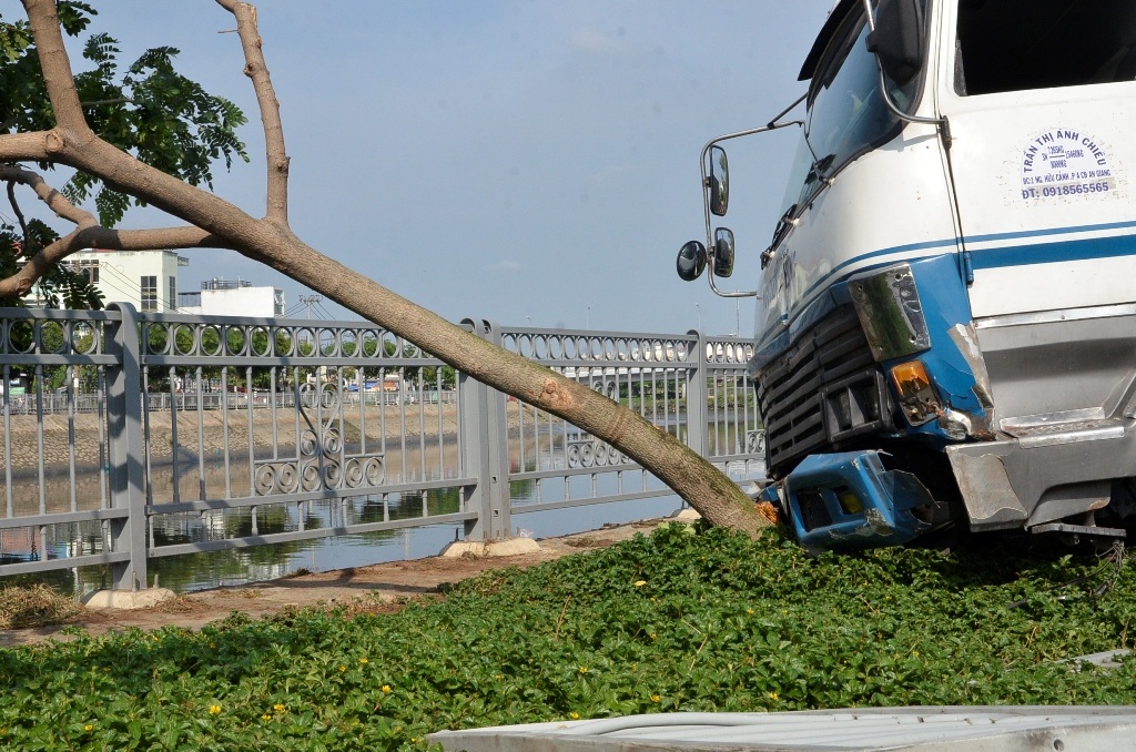 Một cây xanh bị hạ gục