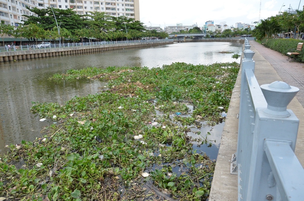 Lục bình, rác phủ khắp mặt kênh