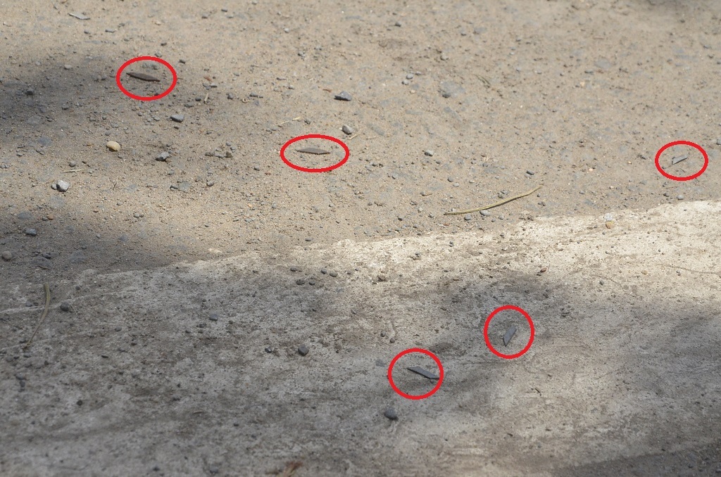 Rất nhiều đinh hình thoi được kẻ xấu rải xuống đường để bẫy người đi xe máy