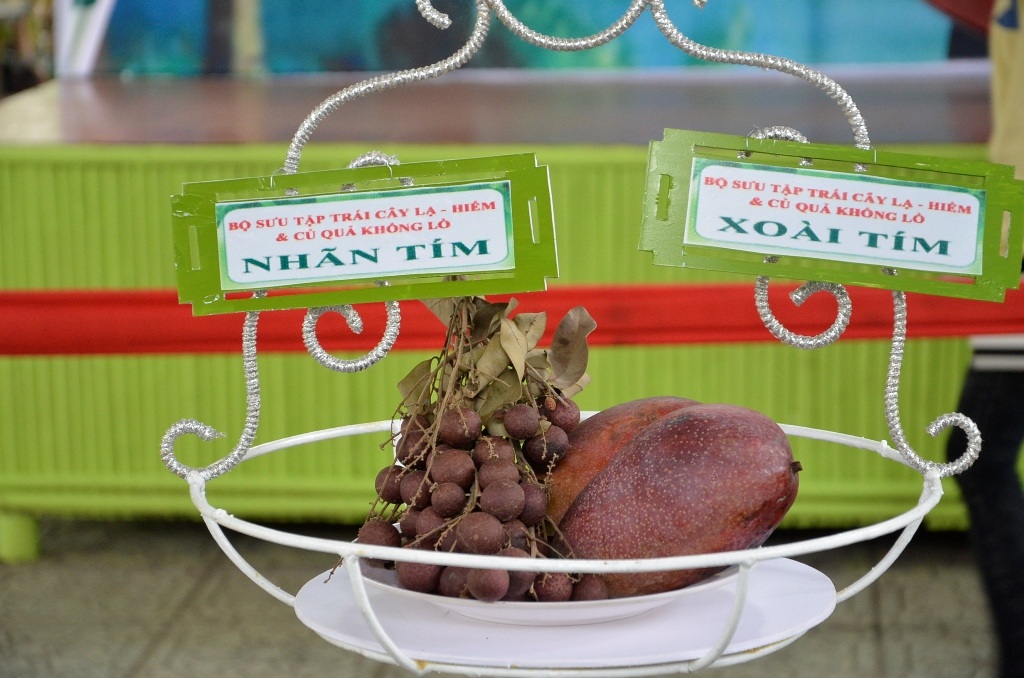 Nhãn tím và xoài tím