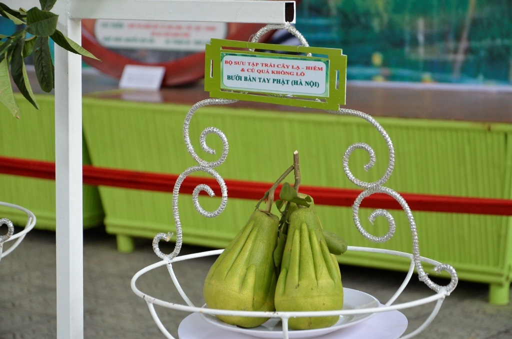 Rất đông du khách thích thú chụp hình những củ quả độc lạ.