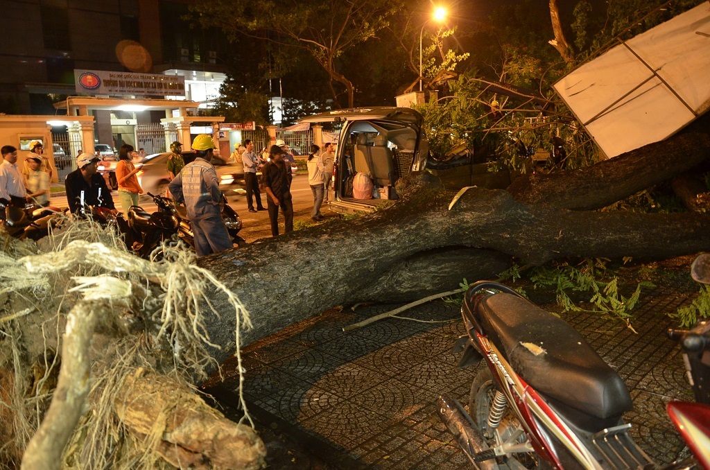 Cuồng phong quét qua TPHCM, cây đổ, tường sập, 3 người bị thương