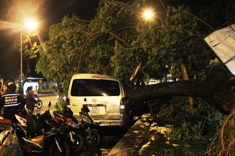 Cây đổ đè ô tô ở đường Đinh Tiên Hoàng