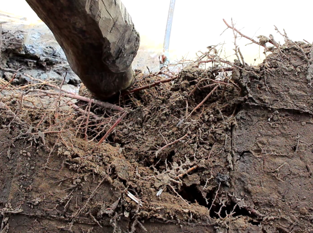 Đất có dấu hiệu tiếp tục bị sạt lở.