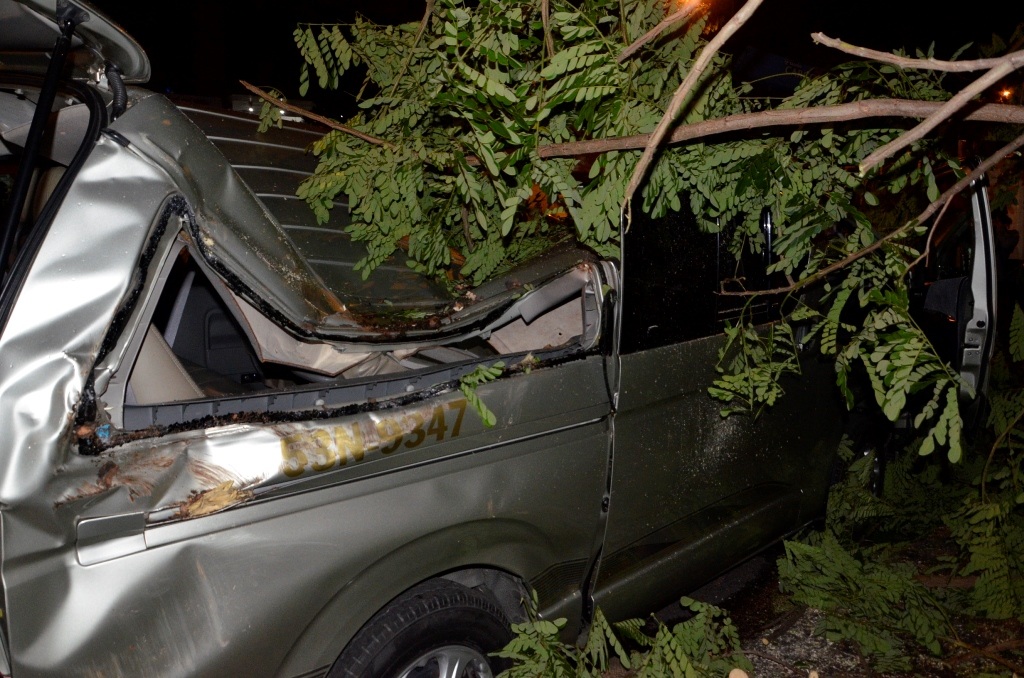 Cây đổ đè ô tô ở đường Đinh Tiên Hoàng