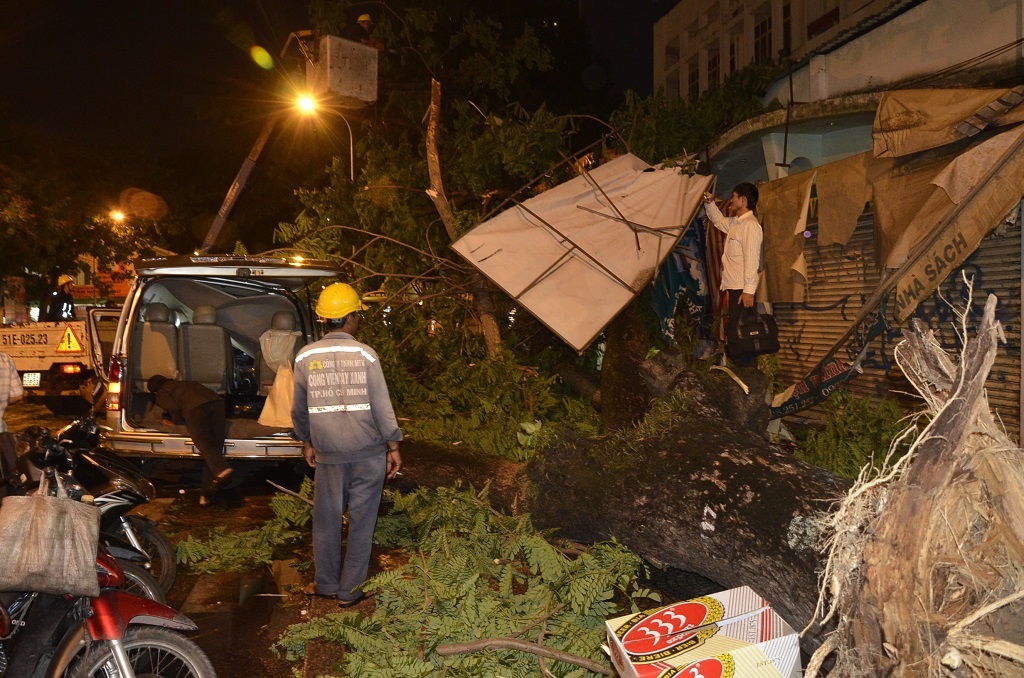 Ngoài ra, 2 xe máy và một mái hiên nhà dân bị cây đè trúng hư hỏng
