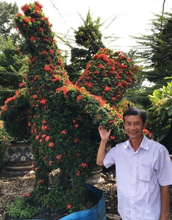Vườn thú bằng cây kiểng “siêu độc” của nghệ nhân Tiền Giang - 1 Nghệ nhân Năm Thoại bên kiểng hình con gà được làm bằng cây trang