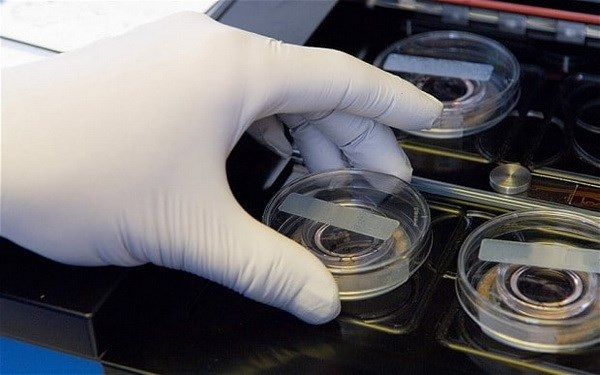 Anh hợp pháp hóa phương pháp sinh trẻ từ một cha hai mẹ - 1
Ảnh chỉ có tính minh họa. (Nguồn: Alamy)