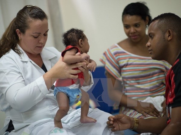Virus Zika có thể sinh sôi trong não của các thai nhi và nhau thai - 1
Chăm sóc em nhỏ 2 tháng tuổi mắc chứng đầu nhỏ do virus Zika tại Salvador, Brazil. (Nguồn: AFP/TTXVN)