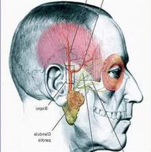 Viêm động mạch thái dương dễ gặp khi bị lạnh đột ngột.