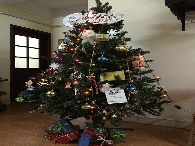 Những món đồ trang trí bạc triệu dịp Noel - 2
Một cây thông xanh bao gồm đồ trang trí, được đặt trong nhà có giá khoảng 2 triệu đồng