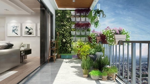 Khu vườn của mẹ rợp bóng xanh tại mỗi logia, ban công
