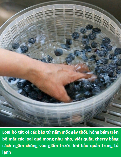 Tuyệt chiêu kéo dài thời gian bảo quản các loại rau-củ-quả lên gấp đôi - 4 Tuyệt chiêu kéo dài thời gian bảo quản các loại rau-củ-quả lên gấp đôi - 4