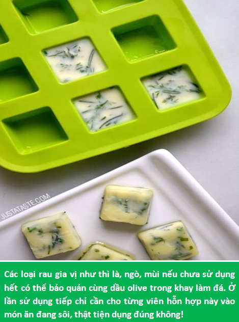 Tuyệt chiêu kéo dài thời gian bảo quản các loại rau-củ-quả lên gấp đôi - 6 Tuyệt chiêu kéo dài thời gian bảo quản các loại rau-củ-quả lên gấp đôi - 6