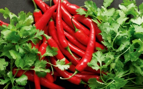 Những loại rau- củ- quả nào chỉ thích hợp để ăn sống? - 6 Những loại rau- củ- quả nào chỉ thích hợp để ăn sống? - 6
