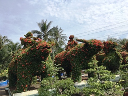 Vườn thú bằng cây kiểng “siêu độc” của nghệ nhân Tiền Giang - 7 Vườn thú bằng cây kiểng “siêu độc” của nghệ nhân Tiền Giang - 7