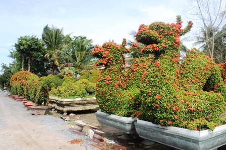 Vườn thú bằng cây kiểng “siêu độc” của nghệ nhân Tiền Giang - 6 Vườn thú bằng cây kiểng “siêu độc” của nghệ nhân Tiền Giang - 6