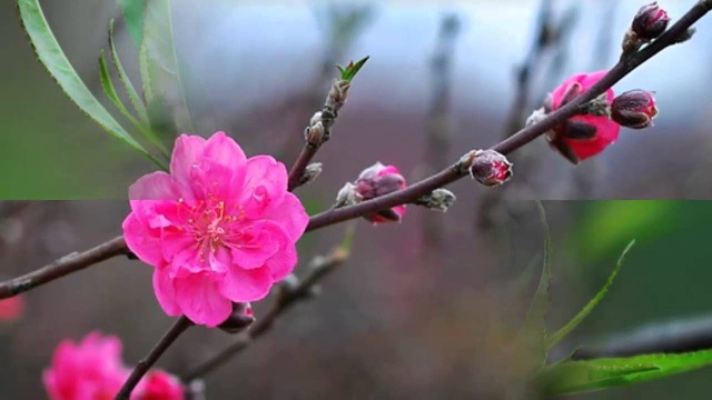“Lương cán bộ cơ sở cai nghiện ma tuý ở Đồng Nai chỉ hơn 2 triệu đồng” - 2 “Lương cán bộ cơ sở cai nghiện ma tuý ở Đồng Nai chỉ hơn 2 triệu đồng” - 2