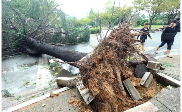 Hàn Quốc: Bão lũ mạnh như sóng thần cuốn trôi nhà cửa, ô tô - 2
(Ảnh: AFP)