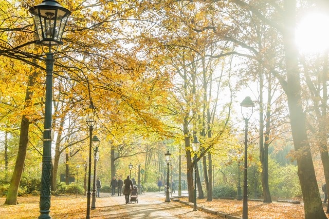 
Người Đức hay gọi tháng 10 và tháng 11 là tháng vàng (Goldener Oktober) bởi gam màu vàng của cây lá bao phủ khắp thành phố, những con đường, những khu nhà, công viên, trường học, ruộng đồng...
