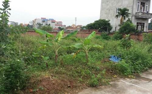 Vụ cấp sổ đỏ ma tại huyện Hoài Đức: Một câu trả lời mở ra ngàn câu hỏi! - Ảnh 3.