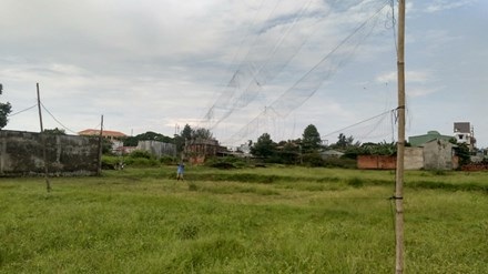 Ngoại ô Sài Gòn: Vào mùa câu ếch, bẫy chim - 1
Chiếc bẫy chim bằng lưới trên cánh đồng sau mùa gặt.