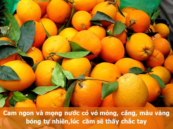 Bí quyết chọn những thức quả mùa đông ngon và lành nhất - 1 Bí quyết chọn những thức quả mùa đông ngon và lành nhất - 1