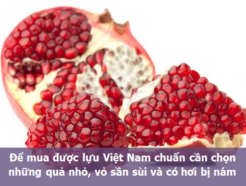 Bí quyết chọn những thức quả mùa đông ngon và lành nhất - 3 Bí quyết chọn những thức quả mùa đông ngon và lành nhất - 3