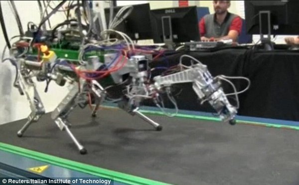 Italy phát triển robot bốn chân cho các vùng bị thảm họa - 1 Robot bốn chân HyQ.